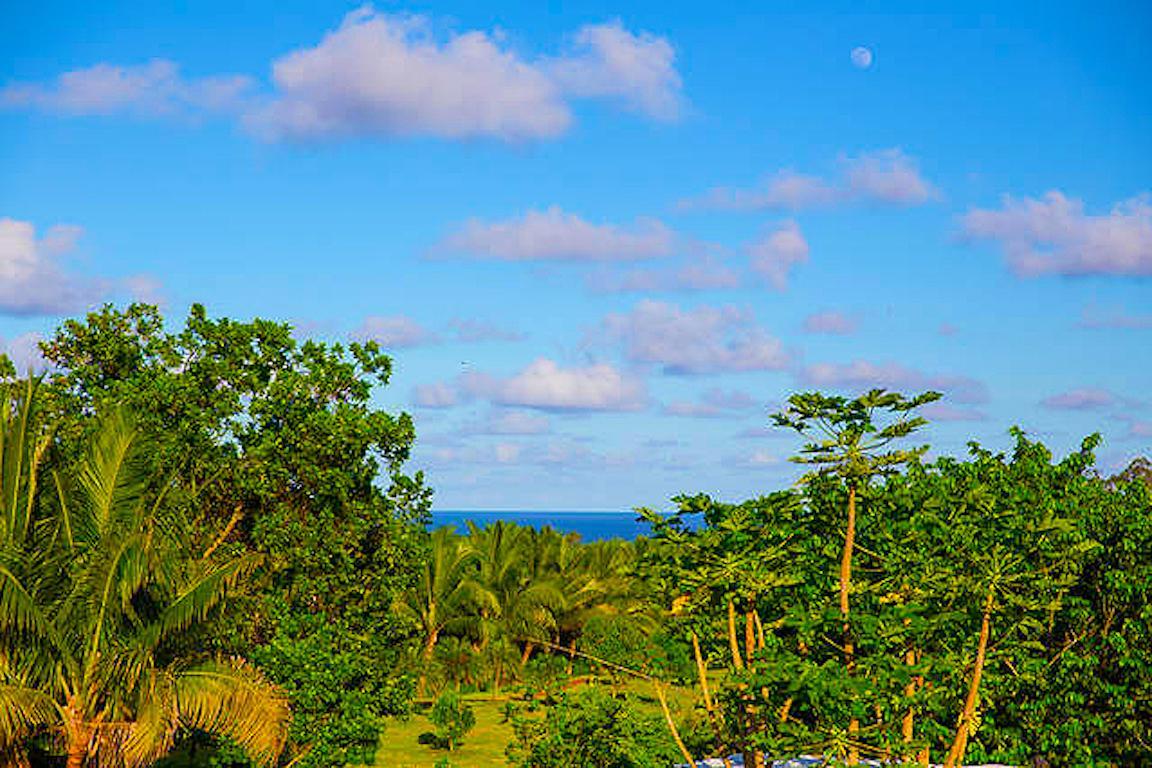 Kirpal Meditation And Ecological Center Pahoa Exterior photo