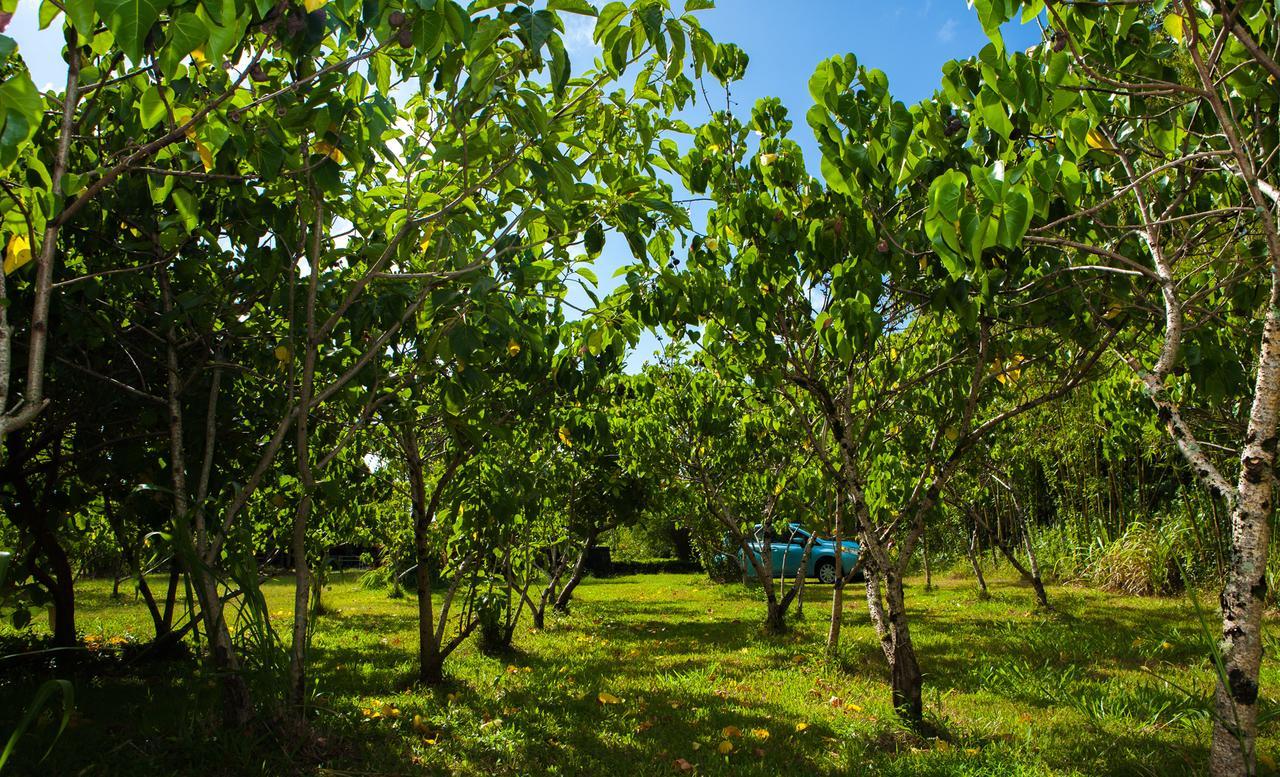 Kirpal Meditation And Ecological Center Pahoa Exterior photo