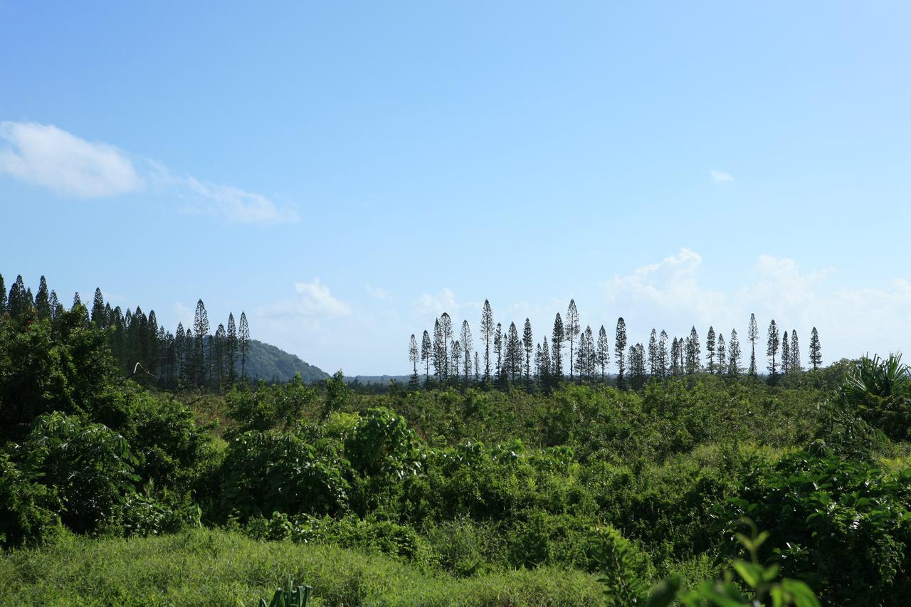 Kirpal Meditation And Ecological Center Pahoa Exterior photo