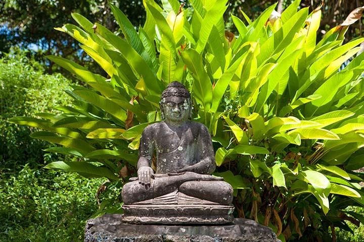 Kirpal Meditation And Ecological Center Pahoa Exterior photo